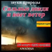 Сильные дожди и воет ветер: звуки природы: специальное издание