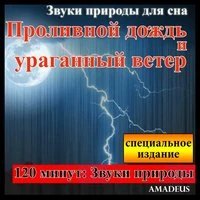 Звуки природы для сна: Проливной дождь и ураганный ветер: специальное издание
