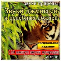 Звуки джунглей и целебных дождей: звуки природы: специальное издание