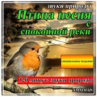 Песня птицы со спокойной реки
