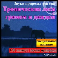 Звуки природы для сна: Тропические леса с громом и дождем: специальное издание