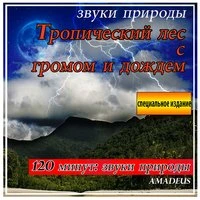 Tропический лес с громом и дождем: звуки природы: специальное издание