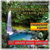 Тропические леса со звуком реки: звуки природы: специальное издание