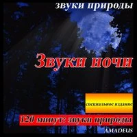 Звуки ночи: звуки природы: специальное издание