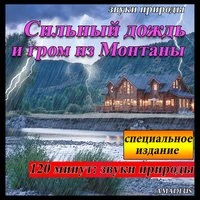 Сильный дождь и гром из Монтаны: звуки природы: специальное издание