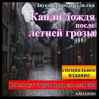 Звуки природы для сна: Капли дождя после летней грозы: специальное издание