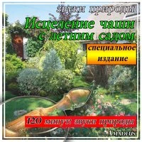 Исцеление чаши с летним садом: звуки природы: специальное издание