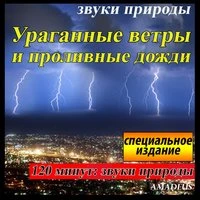 Ураганные ветры и проливные дожди: звуки природы: специальное издание