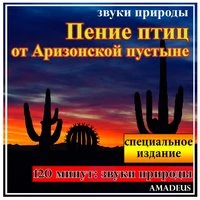 Пение птиц от Аризонской пустыне: звуки природы: специальное издание