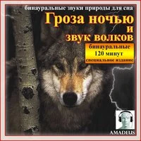 Бинауральные звуки природы для сна: Гроза ночью и звук волков