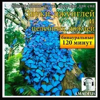 Звуки джунглей и целебных дождей