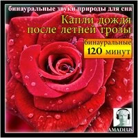 бинауральные звуки природы для сна: Капли дождя после летней грозы: 120 минут специальное издание