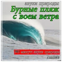 Бурные пляж с воем ветра: звуки природы