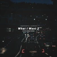 What I Want 2