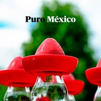 Puro México