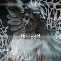 Take Me Down