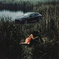 Шумел камыш