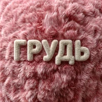 Грудь