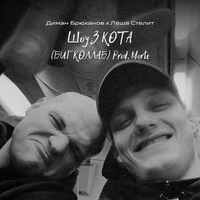 Шоу 3 КОТА prod. Morte