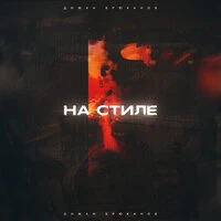 На стиле