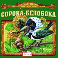 Сорока-белобока