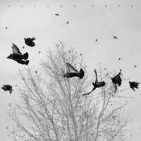 Autumn hope