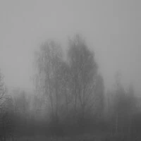disappear into the fog
