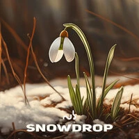 Snowdrop
