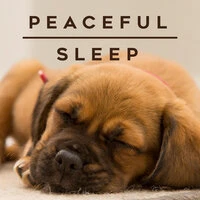 Peaceful Sleep
