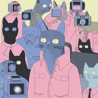 Cat Thru a Lens