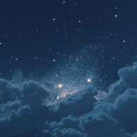 Velvet Night