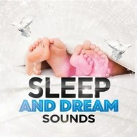 Sleep and Dream Sounds