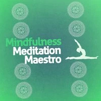 Mindfulness Meditation Maestro