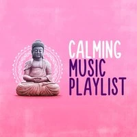 Calming Music Playlist