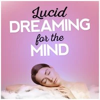 Lucid Dreaming for the Mind