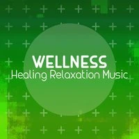 Wellness: Healing Relaxation Music