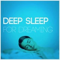 Deep Sleep for Dreaming