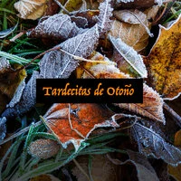 Tardecitas de Otoño