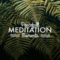 Peaceful Meditation Moments