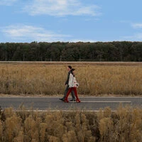 Oare m-ai iubi