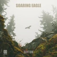 SOARING EAGLE