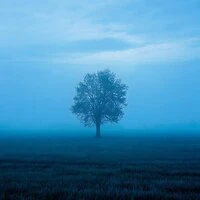 Loneliness