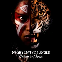 Night in the Jungle