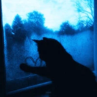 blue hour