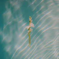 In Each Moment