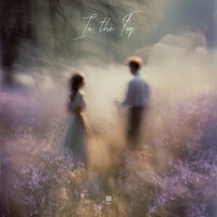 In the Fog