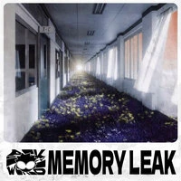 memory leak