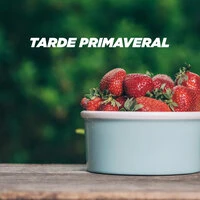 Tarde Primaveral
