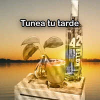 Tuena tu tarde