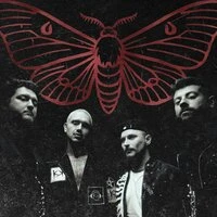 Мотыльки